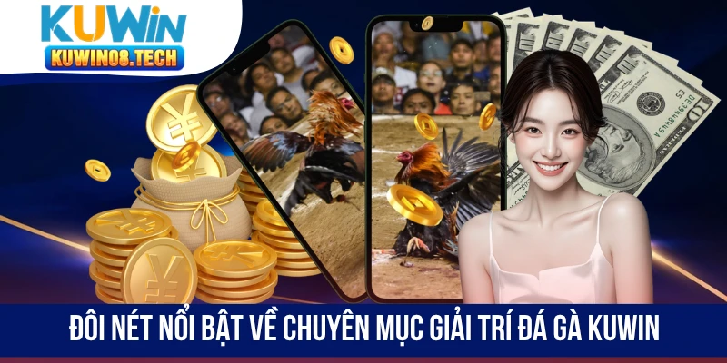 Đôi nét nổi bật về chuyên mục giải trí đá gà Kuwin